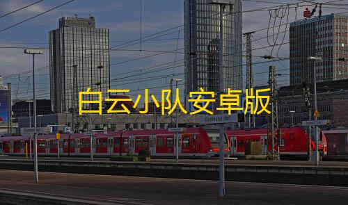 三角洲国际服辅助白云小队安卓版